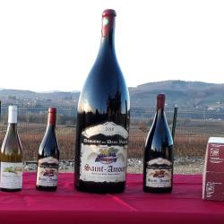 Domaine Des Deux Voûtes