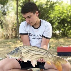 Domaine Des étangs En Camargue