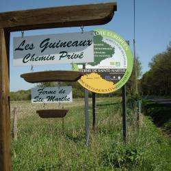 Domaine Des Guineaux & Sainte Marthe