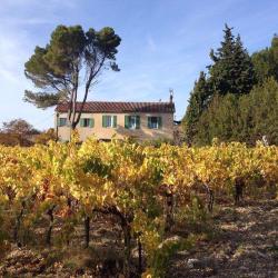 Domaine Des Oullières