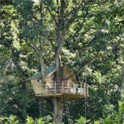 Forestis Sarl