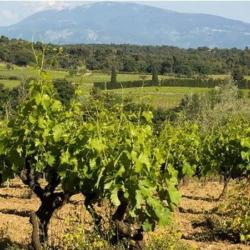 Domaine Du Gros Pata