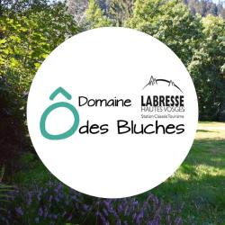 Domaine Du Haut Des Bluches