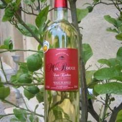 Domaine Du Mas Rouge