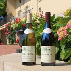 Domaine Du Paradis