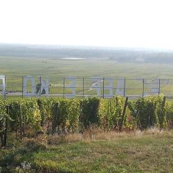 Domaine Du Sonnenberg