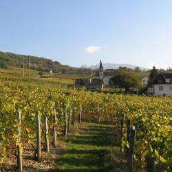 Domaine Dupasquier