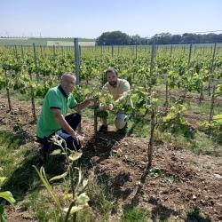 Domaine Familial Morchoisne