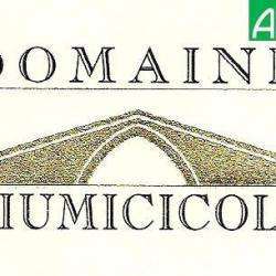 Domaine Fiumicicoli