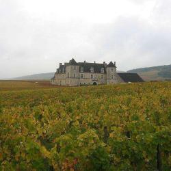 Domaine Francois Bertheau