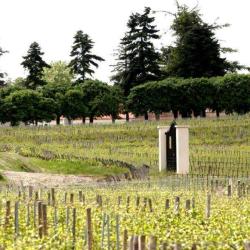 Domaine Georges Mugneret Gibourg