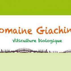 Domaine Giachino