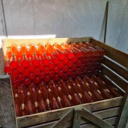 Domaine Goepp Gérard & Fils