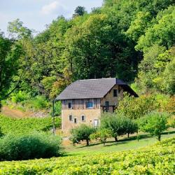 Domaine Justin