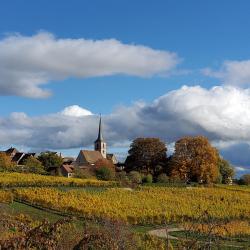 Domaine Haegi