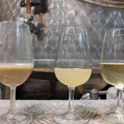 Domaine Hubert Reyser