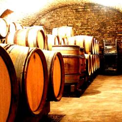 Domaine Hudelot Baillet