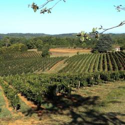 Domaine Ichard