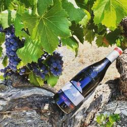 Domaine Jaume