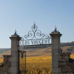 Domaine Jean Grivot