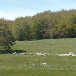Domaine La Péruchelle