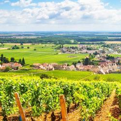 Scea Domaine Le Plaisir