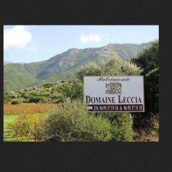 Domaine Leccia