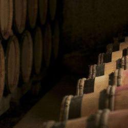 Domaine Lecheneaut Et Fils