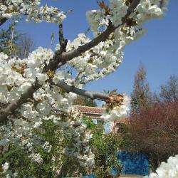 Domaine Les Tuiles Bleues