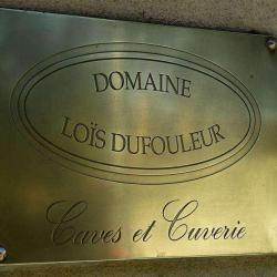 Domaine Loïs Dufouleur