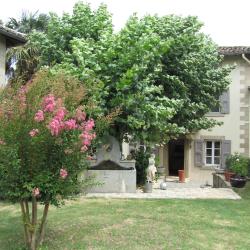 Domaine Louis