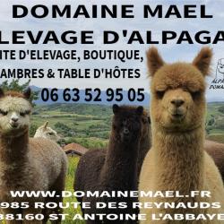 Domaine Mael