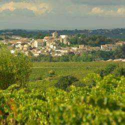 Domaine Magellan