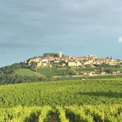 Domaine Michel Thomas Et Fils