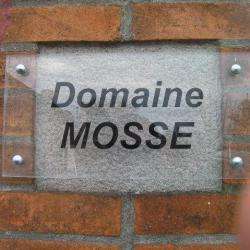 Domaine Mosse - Agnès Et René Mosse