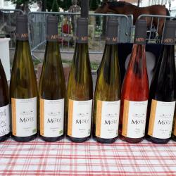 Domaine Motz