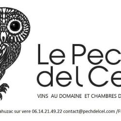 Domaine Pech Del Cel - Grégory Aurel