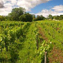 Domaine Peyra