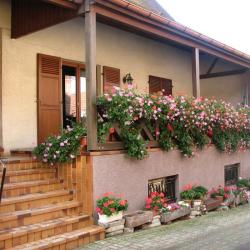 Domaine Philippe Schaeffer