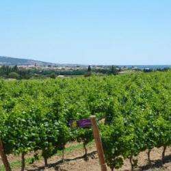 Domaine Saint Andre