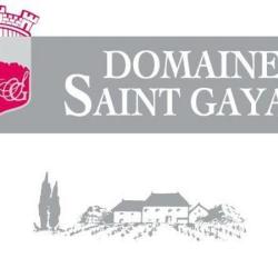 Domaine Saint Gayan