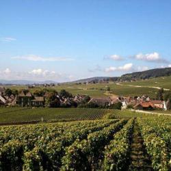 Domaine Saint Marc