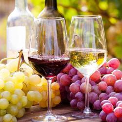 Domaine Sam Cortel
