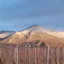Domaine Schneider
