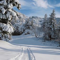 Domaine Skiable De Villard-de-lans
