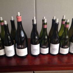 Domaine Thibault Liger-belair