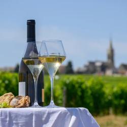 Domaine Treuillet
