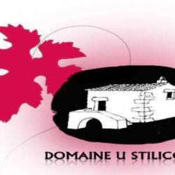 Domaine U Stiliccionu