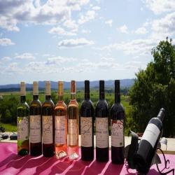 Domaine Virgile Joly