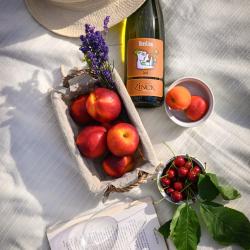 Domaine Zinck